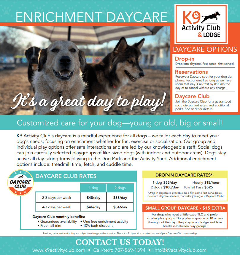Enrichment daycare flyer with rates and options at K9 Activity Club, Santa Rosa