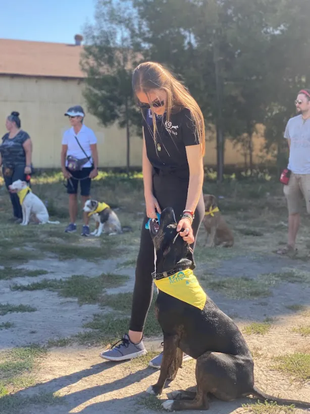 Dog trainer at an outdoor training event in Sonoma County